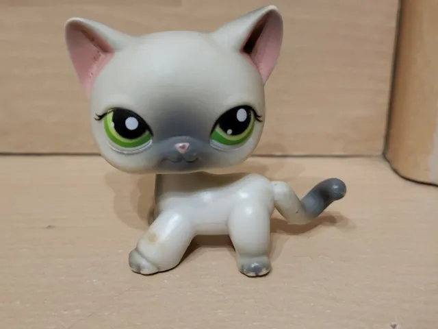 Lps #125 Littlest Petshop Original Authentic Chat Europeen European Cat Hasbro