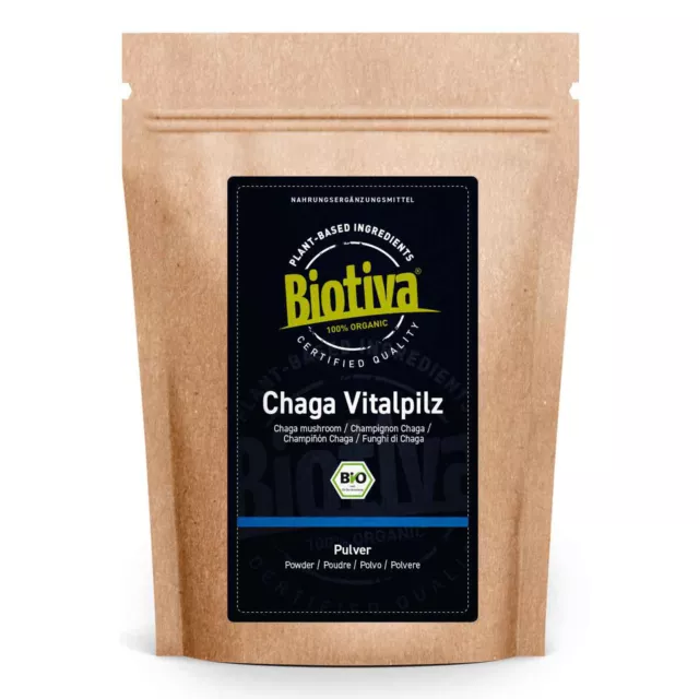 Chaga Pilz Pulver Bio 125g Biotiva (111,92 EUR/kg)