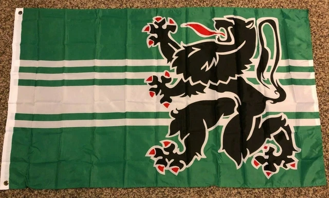 Flag Of Flanders Vlaamse Leeuw Flemish Lion Or Leeuwenvlag Lion Flag Of Vlaanderen Flemish
