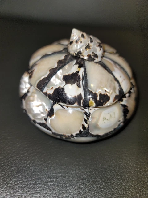 Round Pearl Trinket Jewelry Wood box with mother-of-pearl outside. Read