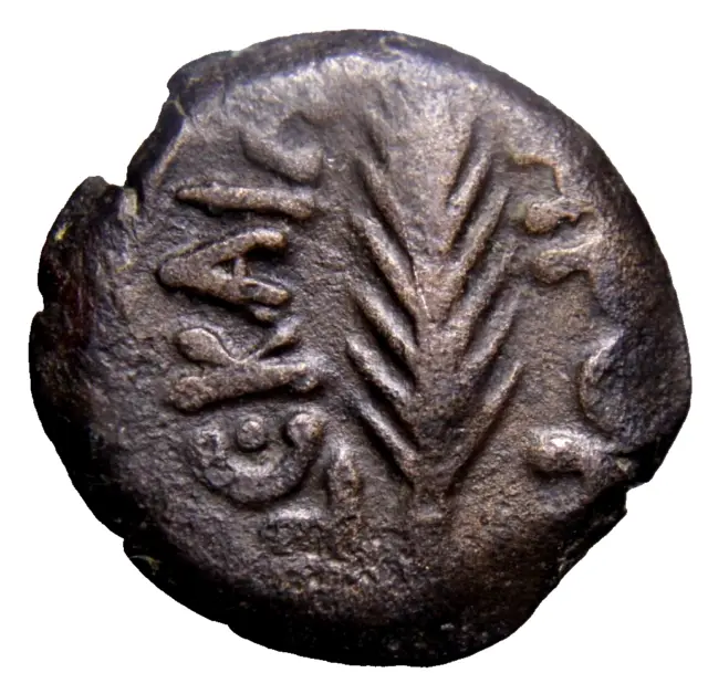 Jewish Coins of the Holyland Judaea, Procurators Porcius Festus Wheat Coin wCOA