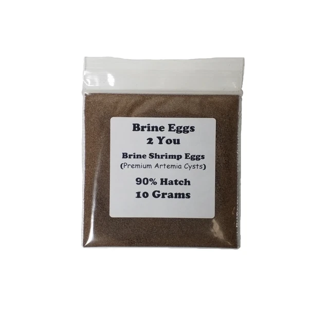 10 Grams Brine Shrimp Eggs 90% Hatch Rate -  $2.99  (Premium GSL Artemia Cysts)