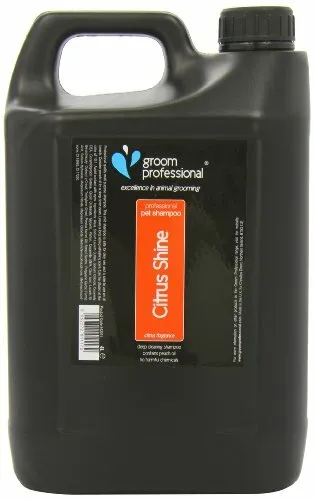 Premium Citrus Shine Shampoo 4 Litre High Quality