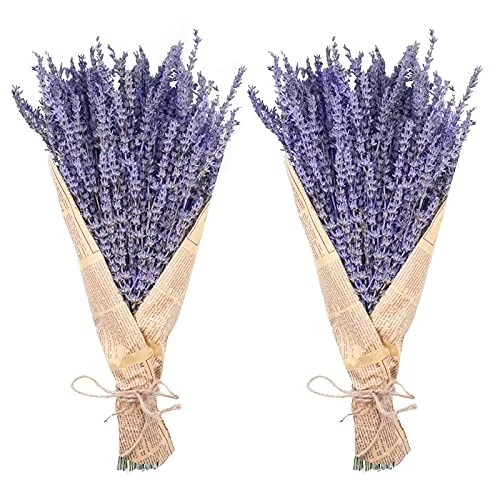 Paquetes de lavanda seca Uieke flores de lavanda seca natural 280-300 tallos 16