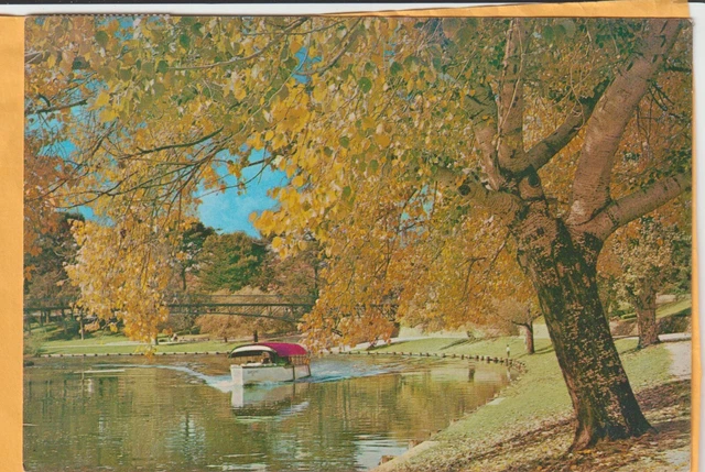 Autumn Leaves Over The River Torrens Adelaide S.a Pitt Postcard