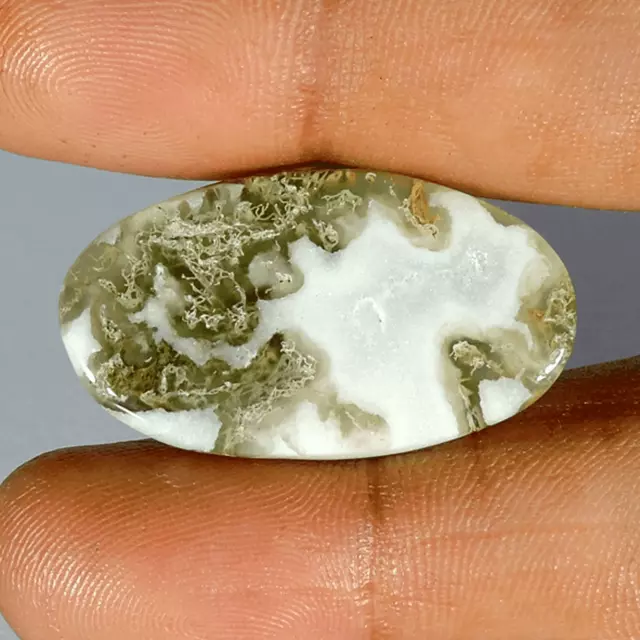 33.00Cts Natural Lodolite Garden Quartz Oval Shape Cabochon Loose Gemstone 2