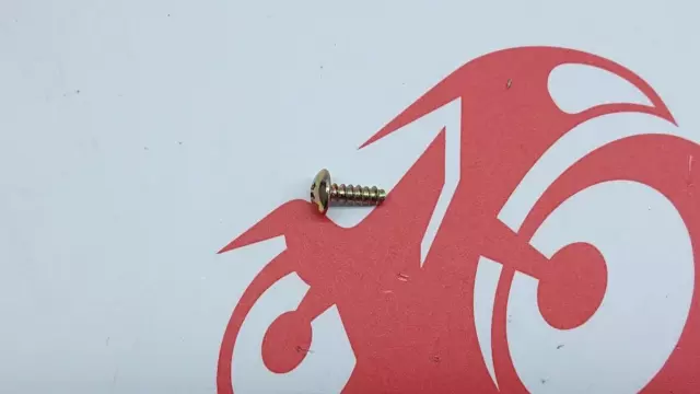 TRIUMPH SPRINT ST, TIGER 885i/955i Instrument Cluster Screw T2501148