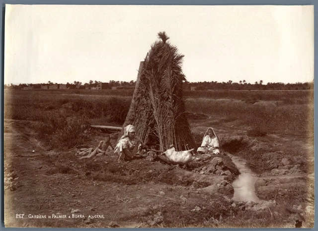 Tirage Photographique Albuminé Vintage - 'Environs De Biskra, Oasis' Algérie, Circa 1880, Format 21x27 Cm