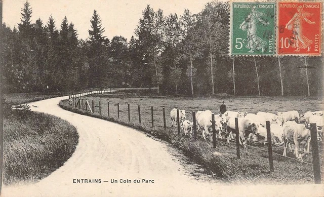 ENTRAINS - un coin du parc