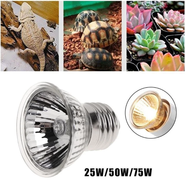 Turtle Full Spectrum Heat Lamp Halogen Bulb Basking Light UVA Light Reptile