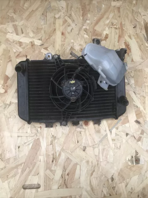 BMW G310R 2019 4756 Meilen Kühler und Gurrventilator mit Ausdehnungstank