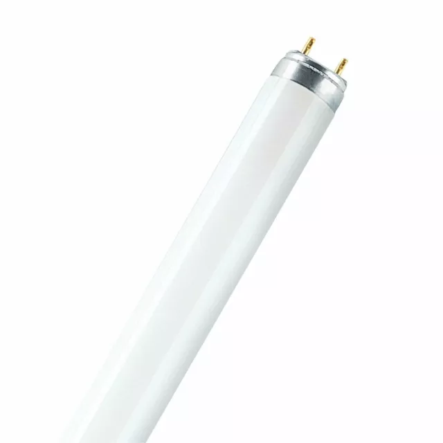 Osram Fluorescent Lumilux - T8, 830 Blanc Chaud - 36W - Tube Lumière Lampe