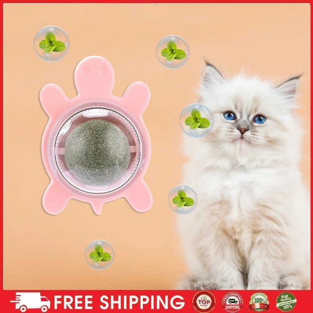Tartoise Catnip Toys parete girevole per gatti palla adesiva giocattolo forniture per animali domestici (Pi