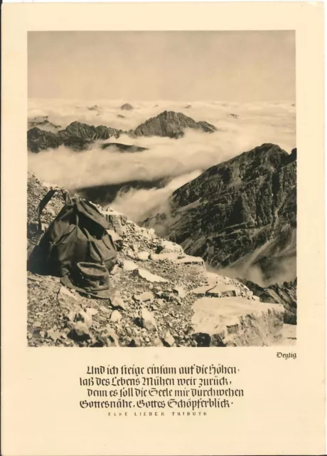Ansichtskarte AK Allgäu Blick vom Hochvogel Gedicht