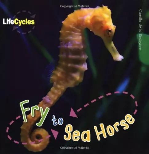 Fry to Seahorse (Lifecycles) By Camilla de la Bedoyere