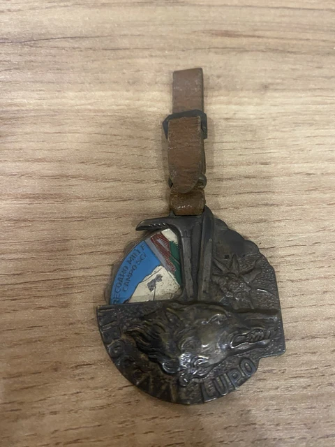 Médaillon Souvenir "In Bocca Al Lupo" - Province De Belluno, Italie - Argenté Et Coloré - Diamètre ~38 Mm