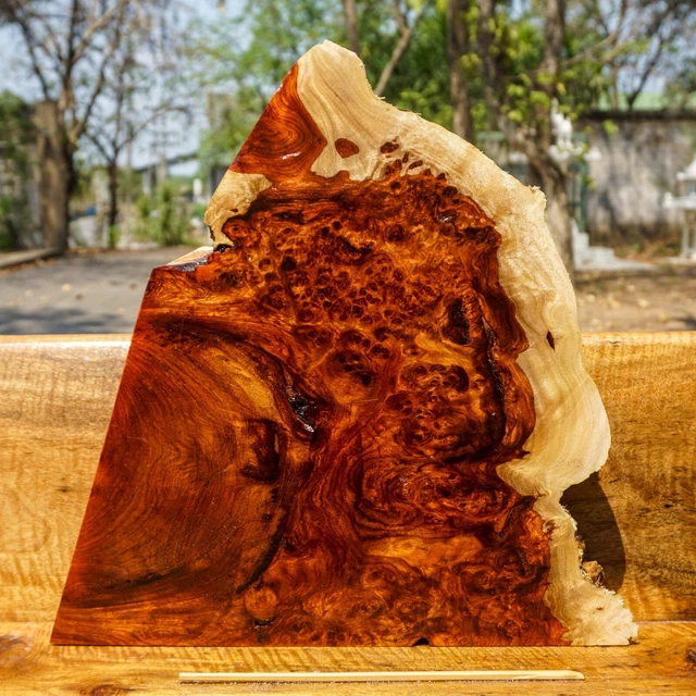 ¡Raro! Mesa AMBYNA BURL MAMBER borde vivo losa natural resina de madera epoxi hágalo usted mismo