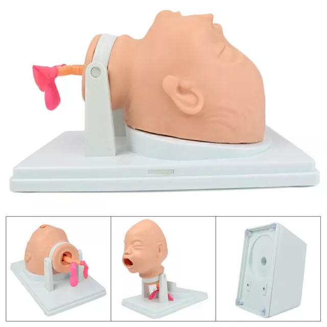 Baby Intubation Manikin Study Teaching Model Airway Management Trainer w/Tube mo
