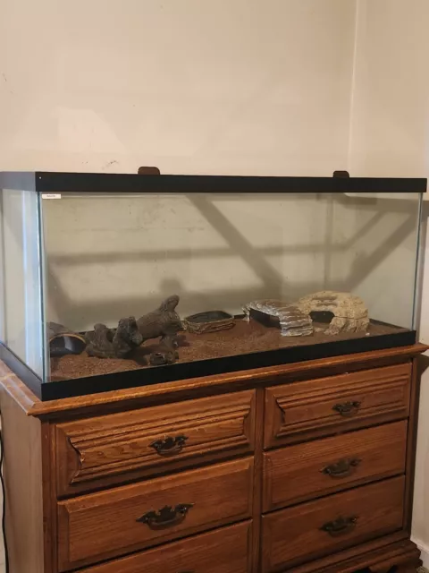 Fish Tank