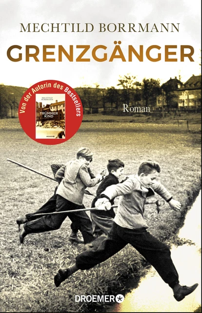 Nahtoderfahrungen - Berichte Von Grenzgängern MECHTILD BORRMANN - Grenzgänger #B2033435 $7.08 - PicClick AU