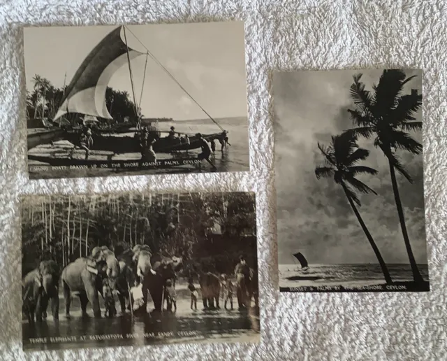 3 Postcards of Ceylon ( Sri Lanka ) Island in the Indian Ocean.