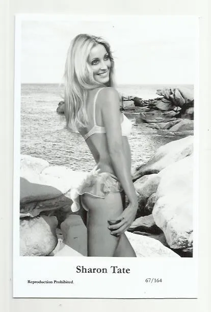 (B1) Sharon Tate Swiftsure Photo Postcard (67/164) Filmstar Pin Up Glamor