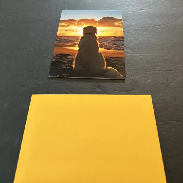 Dog Sitting On Beach At Sunset - Golden Retriever Pet Sympathy Card