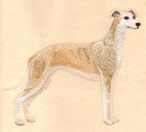 Embroidered Fleece Jacket - Whippet C3527 Sizes S - XXL