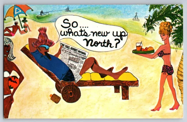 Postcard Whats New Up North from Hollywood Florida     E 4