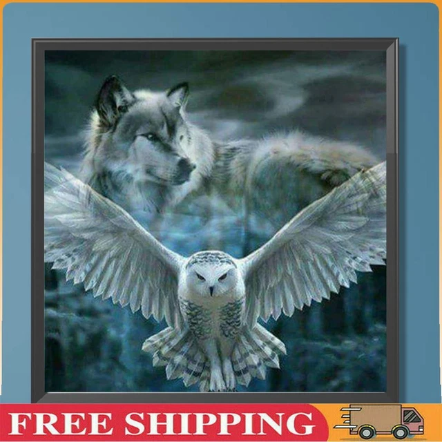 Paint By Numbers Kit DIY Oil Art White Owl Picture Home Wall Decoration 40x40cm
