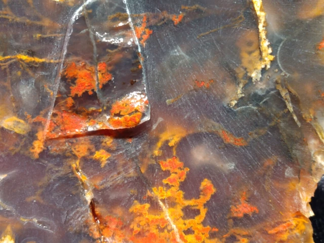 San Carlos Plume Agate Rough Slab