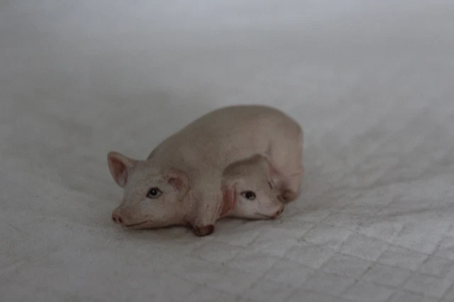 Aynsley Piglets Playing 7cm Pig Figurine - VGC