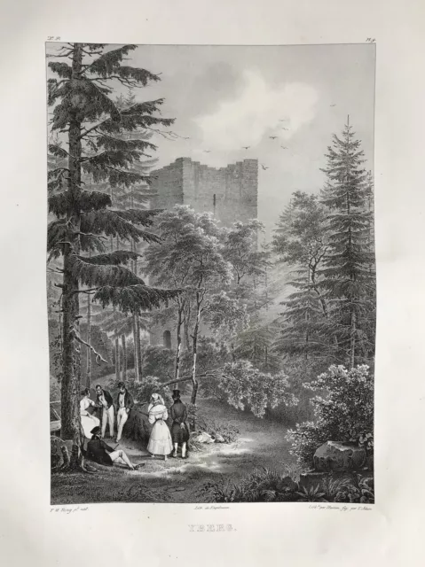 Burg Yberg Baden-Baden Schwarzwald Ansicht Lithographie de Ring 1829