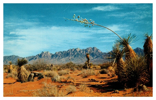 Las Cruces NM New Mexico Organ Mountains Chrome Postcard