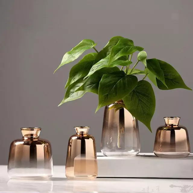 Planteur de verre Terrarium Vase à Fleur de Pot Plante Titulaire pour La