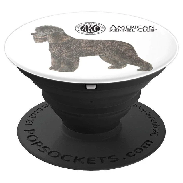 AKC Irish Water Spaniel Black
