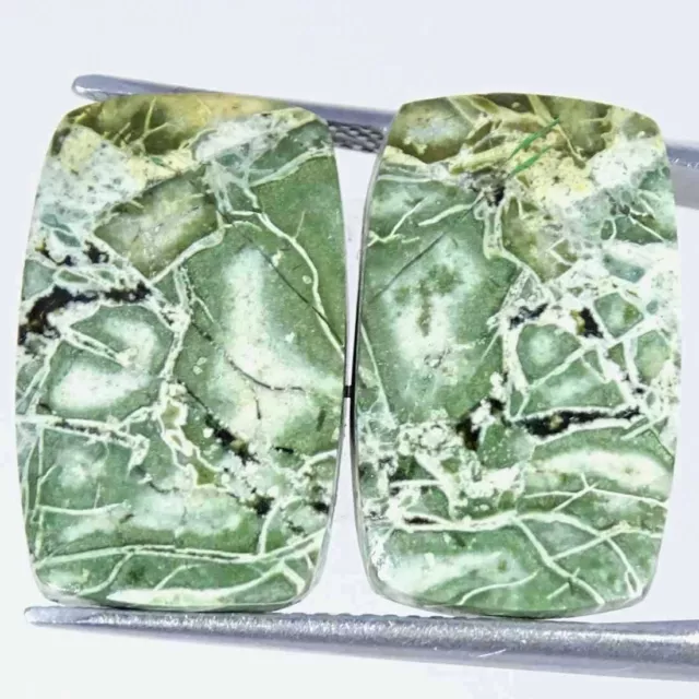 19.70Cts Natural Green Crazy Lace Agate Cushion Pair Cabochon Loose Gemstone