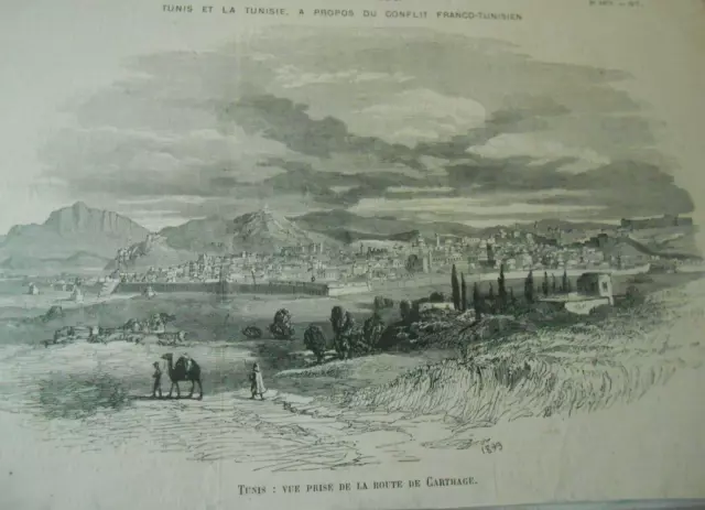 Gravure 1879 - Tunisie Tunis Vue prise de la route de Carthage