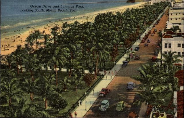 Ocean Drive Lummus Park Miami Beach Florida ~ 1940s cars ~ linen postcard