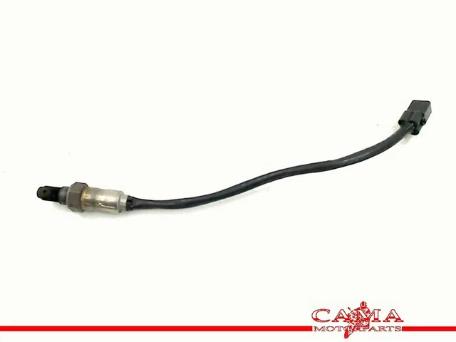 SENSORE LAMBDA Triumph Street Triple 765 RS 2020- 2021