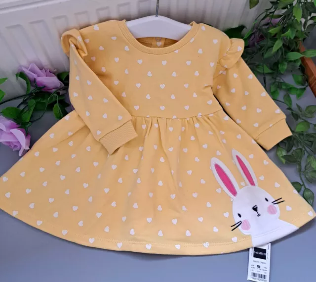 Baby Girl 3-6 Months BNWT Dunnes Supersoft Fleece Lined Jumper Dress