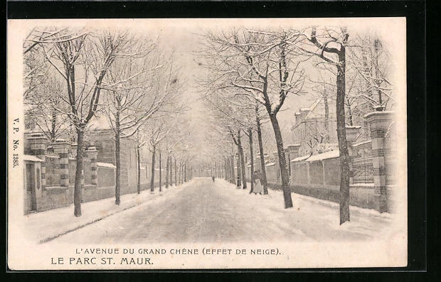 CPA Le-Parc-Saint-Maur, L'Avenue du Grand Chêne, snow effect