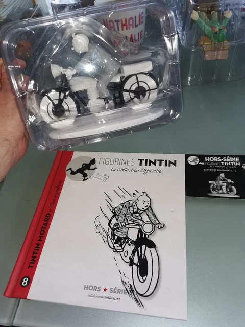 Collection Série Tintin – Lot D'Albums Ou Figurines? (À Consulter)
