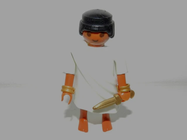 Lot Playmobil - Pièces Pirates, égyptiens, Famille, Indiens, Chevaliers, Arbre - Occasion Comme Neuf