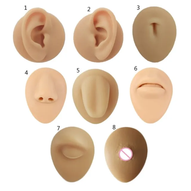Ear Nose Model Practice Body Piercing Teaching Tool Earring for Jewelry Display
