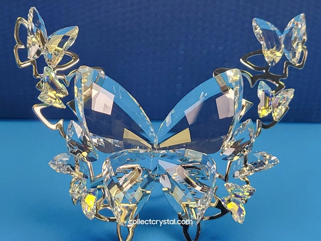 B5003【SWAROVSKI】バタフライ ロザリン B5003【SWAROVSKI】バタフライ ロザリン Amazon.com : Swarovski