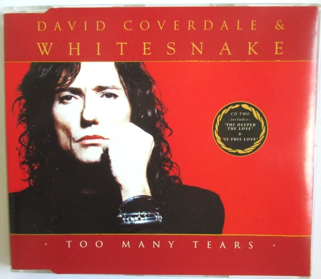 DAVID COVERDALE – Whitesnake CD EUR 16,00 - PicClick ES