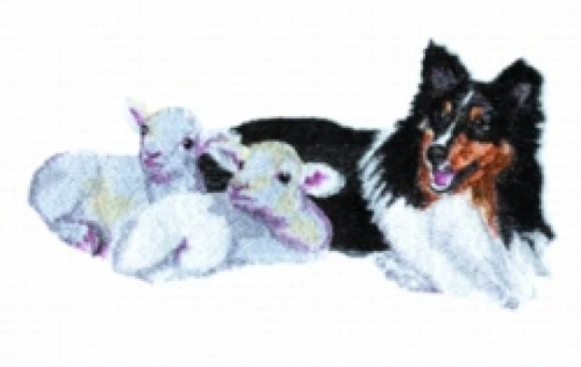 Embroidered Ladies Jacket - Shetland Sheepdog with Lambs BT4439 Sizes S - XXL