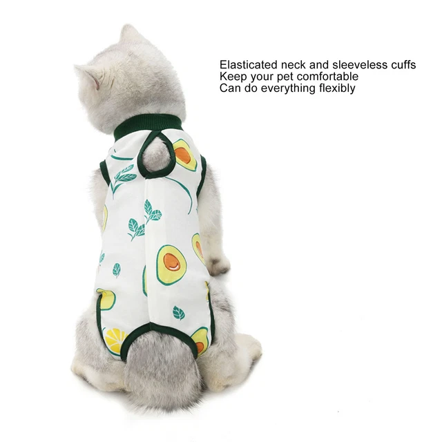 (L) Traje de recuperación para gatitos fácil de usar Traje de recuperación para gatos Estampado flexible de aguacate
