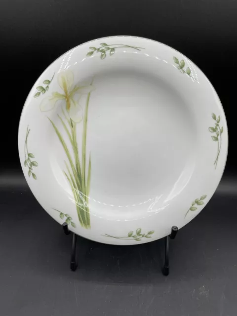 St. Andrews Botanics Fine China Handmade & Hand Decorated Dinner Plates Set of 4